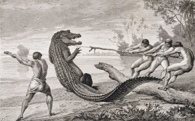 Catching an alligator with lasso, from 